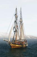 Sail Boat in the Lady Bay